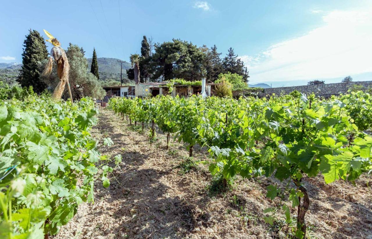 Nassibe Estate Villa Agios Ioannis  ภายนอก รูปภาพ